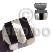 stainless metal casing with inlaid black tab troca