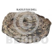 raw unpolished blacklip shells  asstd sizes