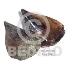 raw unpolished browntab shells  per kilo