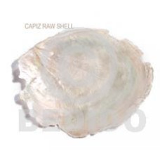 raw unpolished capiz shells  per kilo