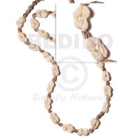 estrelita nassa white and tiger length =36