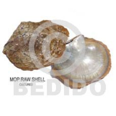 raw unpolished mother of pearl ( mother of pearl shell (MOP))