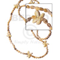 sigay flower tiger nassa  length =40