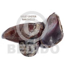 raw unpolished violet oyster shells  per