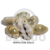 loose monita shells  no holes 