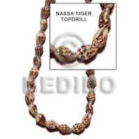 nassa tiger topdrill