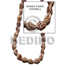 nassa tiger topdrill