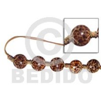 round 35mm cowrie tiger shell with buri