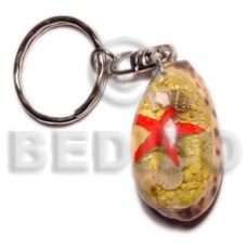 sigay with laminated seahells  can be