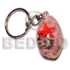 sigay with laminated seahells  can be