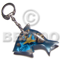 60mmx37mm transparent clear blue resin