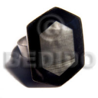 big accent haute hippie 30mmx22mm 