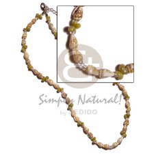 nassa tiger with green mongo shell combination