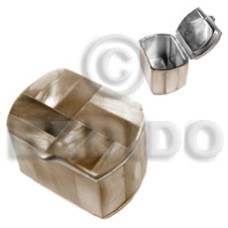 stainless metal casing with inlaid golden tan