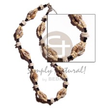 nassa tiger with white rose, 2 3mm coco