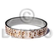 laminated cowrie shell in .5 inch