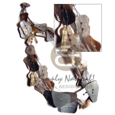 blacklip shells in varied sizes 38mmx25mm  25mmx14mm in intert