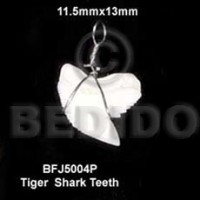 tiger shark teeth pendant 11.5mmx13mm approximate 10mmx9