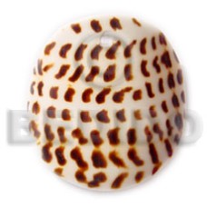 flat round cunos head  varied sizes