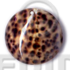 round tiger cowrie 40mm