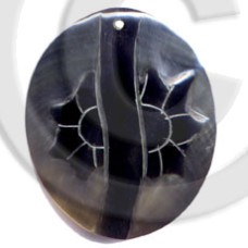 oval blacklip with skin 50mm