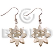 dangling 40mm sun hammershell with 15mm hammershell