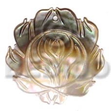 carved black lip rose 50mmx45mm