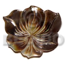 blacklip rose carving 40mm