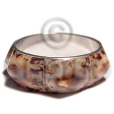 limpet shells in 1in. metal casing