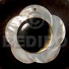 scallop flower hammershell with black tab 40mm
