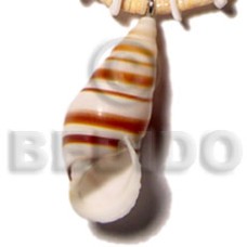 land snail