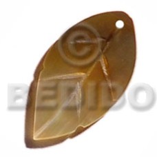 leaf brownlip 25mmx15mm