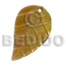 25mmx15mm brownlip leaf