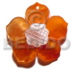 orange 40mm hammershell flower with grooved nectar