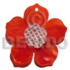 red 25mm hammershell flower with grooved nectar