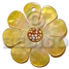30mm graduated yellow hammershell flower with dotted