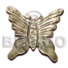 45mm carved blacklip butterfly