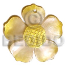 graduated yellow 25mm hammershell flower with grooved