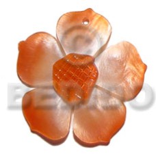 graduated orange 25mm hammershell flower with grooved
