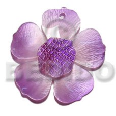 graduated lavender 35mm hammershell flower with grooved