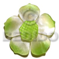 graduated lime 35mm hammershell flower with grooved