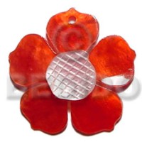red 35mm hammershell flower with grooved nectar