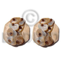 32mm octagon shaped coco with brownlip chips accent