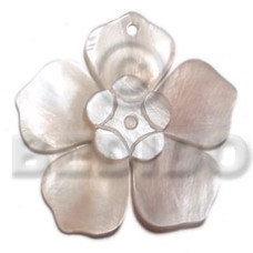 45mm hammershell flower with groove nectar