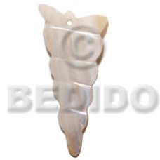 55mmx20mm seashell shaped kabibe shell