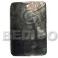 40mmx27mm rectangular blacklip