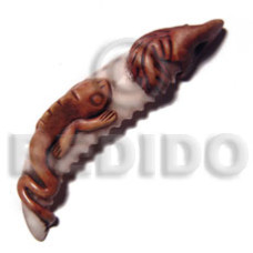 70mm cowrie tiger shell fang ( varying natural sizes ) with igua